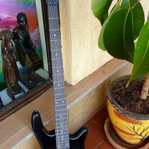 BASS GUITAR