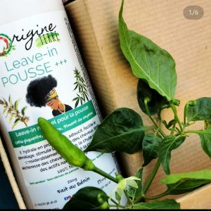 Origine terre