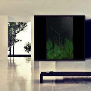 L'étoile passionnée